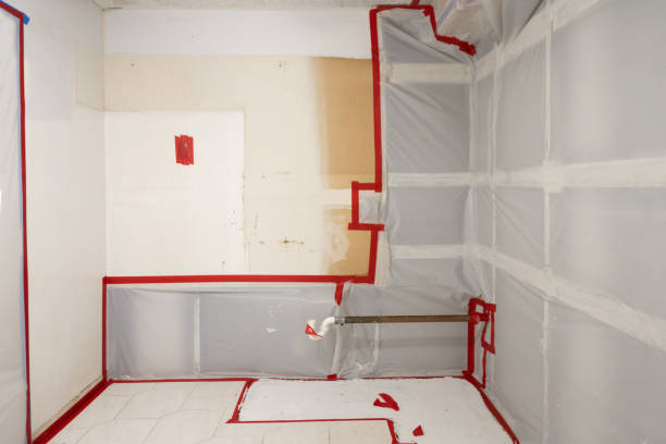 Best Black Mold Removal  in Clarksburg, WV