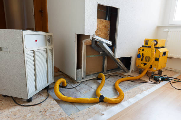 Biohazard Mold Removal in Clarksburg, WV