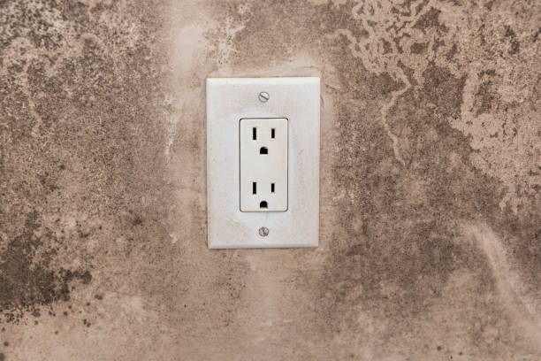 Best Water Damage & Mold Remediation  in Clarksburg, WV