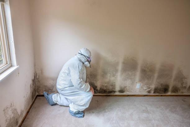 Best Residential Mold Inspection & Testing  in Clarksburg, WV