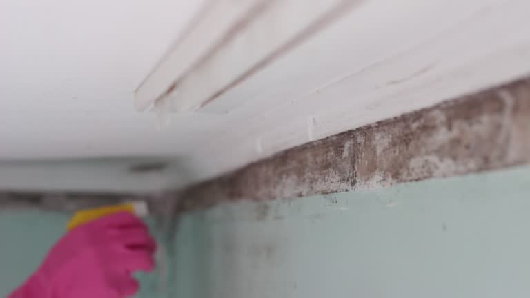 Best HVAC Mold Inspection and Cleaning  in Clarksburg, WV