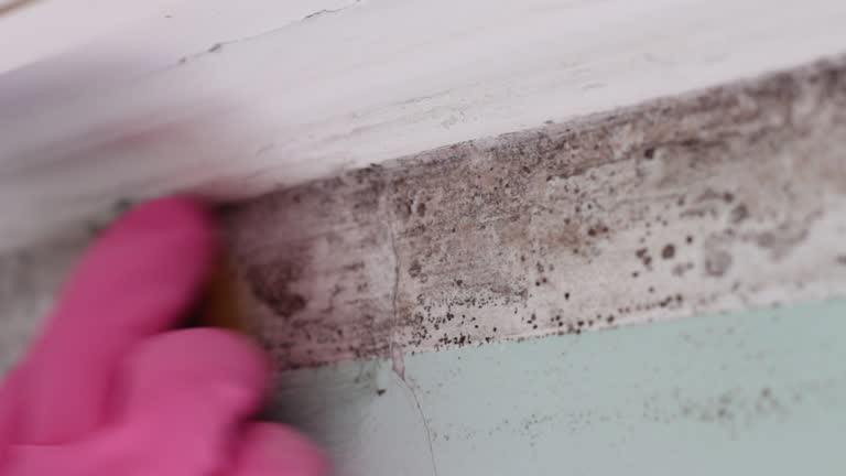 Mold Remediation for Rental Properties in Clarksburg, WV